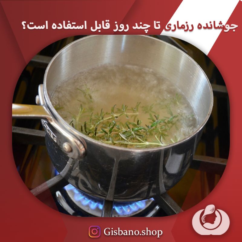 نگهداری جوشانده رزماری چگونه است؟