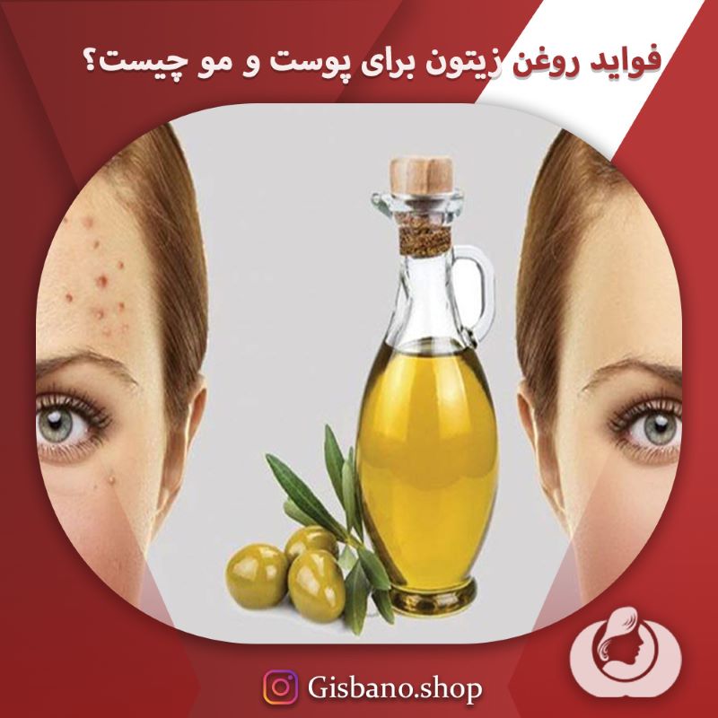 فواید روغن زیتون برای پوست و مو چیست؟