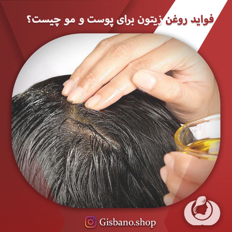 فواید روغن زیتون برای پوست و مو چیست؟