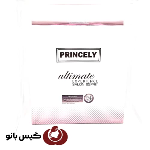 سشوار حرفه ای پرنسلی مدل pr250at