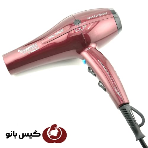 سشوار حرفه ای پرنسلی مدل pr250at